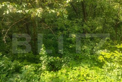 Teren intravilan, 5857 mp, Baltati, Horodnicu de Sus - 2