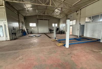 Inchiriere hala service - 4