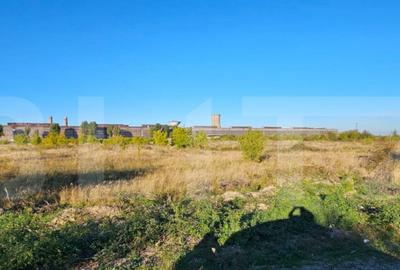 Teren de 5000 mp, în Central - 2