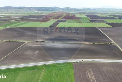 Spațiu comercial, în Feldioara - 2