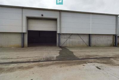 Hala industriala de 538mp Jebel, Timi? - 7