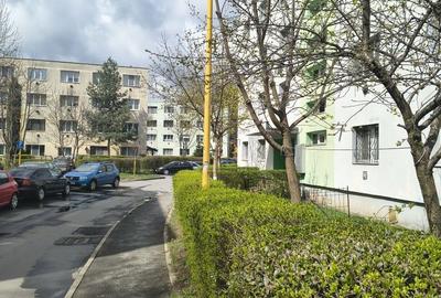 Garsonieră în Timișu de Jos - 2