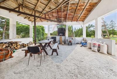 Proprietate specială, de 937 mp, în Dragomirești-Deal - 31