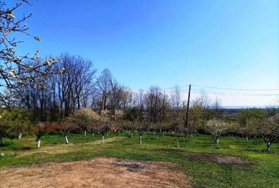 De vanzare Casa spa?ioasa cu livada, situata in C - 3