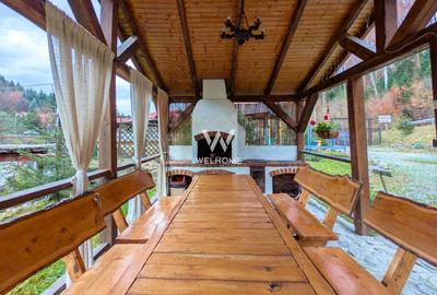 Cabana / Casa de vacanta pe Transfagarasan - Sibiu - 9