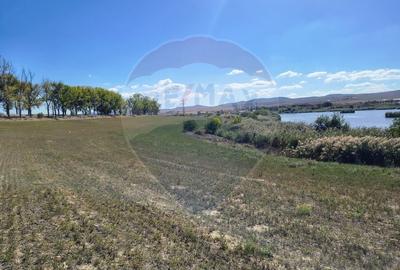 Teren agricol extravilan de 10000 mp, în Mihail Kogălniceanu - 2