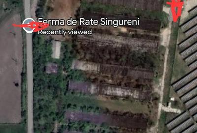 Inchiriere teren 30,000mp si hale in conservare Singureni Giurgiu - 3