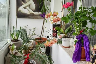 Soseaua Pantelimon, sector 2 - 8