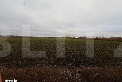 Teren de 5000 mp, în Mihai Eminescu - 1
