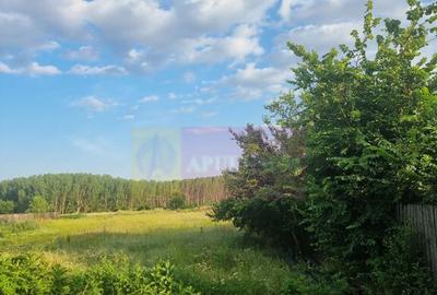 Se vinde teren 4200 mp in Teisori Giurgiu - 10