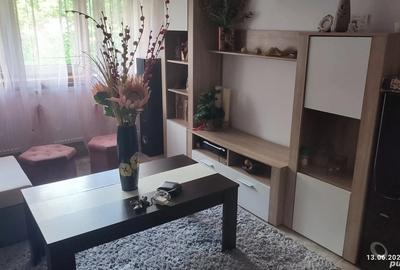 Inchiriez apartament 2 camere Severinului - 4