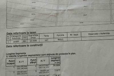 Teren agricol extravilan de 10600 mp, în Dieci - 6
