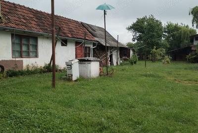 Vand casa cu teren - 8