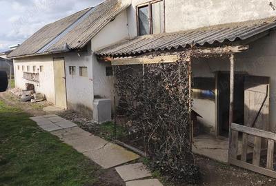 Casă cu 3 camere cu Teren 2000 Mp în Cihei - 7