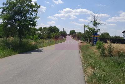 Teren de 16500 mp, în Teișori - 5