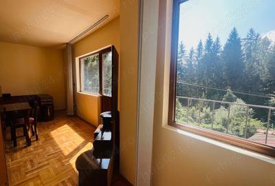 Oportunitate! Casa cu mare poten?ial de extindere si utilizare mixta (hotel, pensiune, reziden?ial) - 19