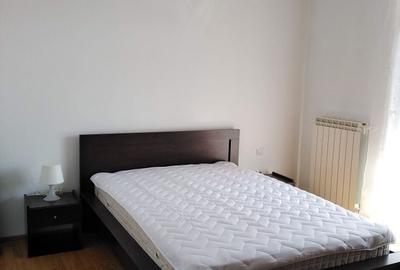 Apartament cu 2 camere decomandat în Viișoara - 2