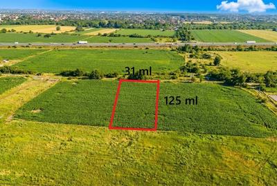 Teren intravilan de 3900 mp, în Periferie - 1