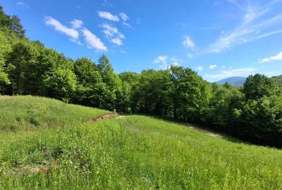 Spațiu comercial, în Poiana Mărului - 1