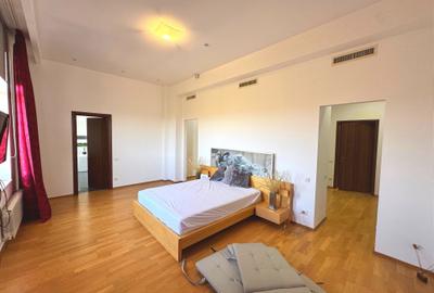Penthouse  4 camere  Erou  Iancu Nicolae - 10
