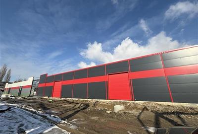 Inchiriere depozit/hala/spatiu industrial Jilava - Giurgiului - 7