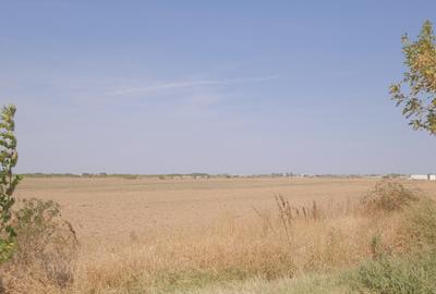 5,7 Ha. vav de Dovinot - Mihailesti, teren intravilan cu deschidere la DN6 - 8
