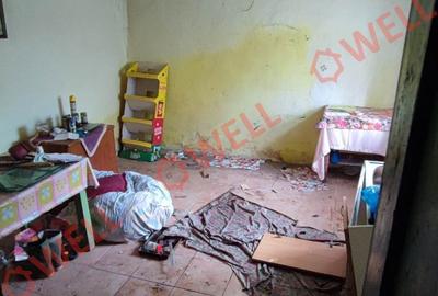 Casă individuală cu 3 camere în Bixad - 16