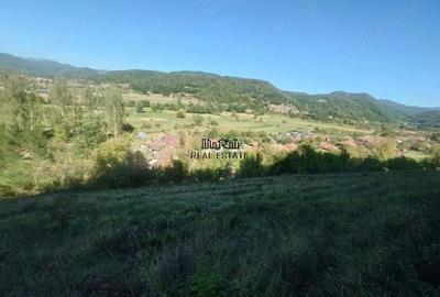 Teren de 56031 mp, în Criș - 8