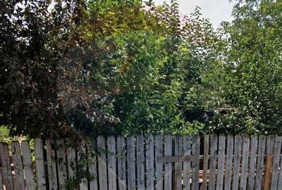 Teren de 846 mp, în Alexandriei - 1