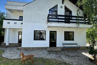 Vila Bucium cod 158289 - 6