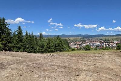 Teren de 1000 mp, în Toplița - 4