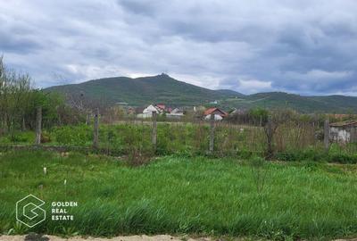 Teren Construcții intravilan de 2880 mp, în Șiria - 1