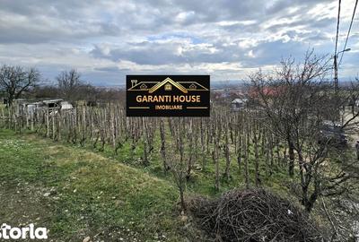 Teren de 600 mp, în Central - 2