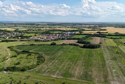 Teren Construcții intravilan de 665 mp, în Moșnița Nouă - 7