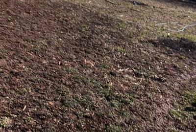 Casă în Târgșoru Nou - 1