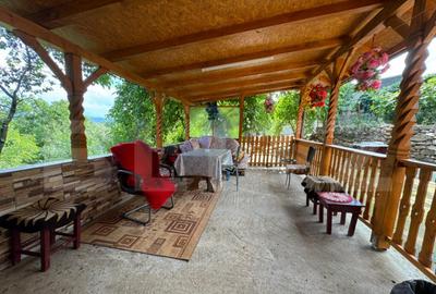 Casa cu 3 camere, 70 mp, in Ghelari - 12