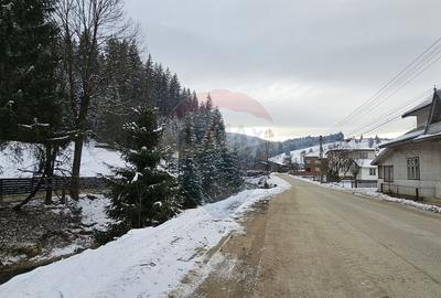 Teren in Bucovina, intravilan 3824 mp Deia-Frumosu, Suceava - 17
