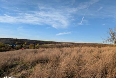 Spațiu comercial, în Pielești - 7