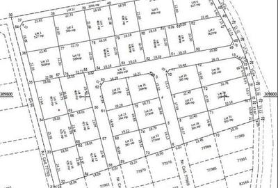 Teren Berceni La Lacuri | Oportunitate Investitie | - 8