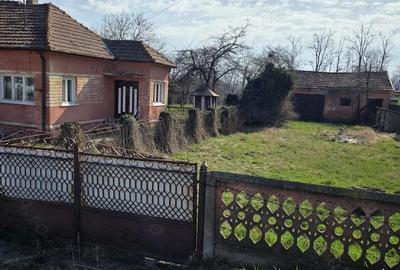 Casă cu Teren 2800 Mp în Totești - 7