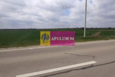 Teren de 5110 mp, în 1 Decembrie - 10