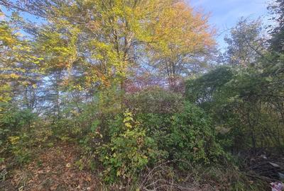 Teren intravilan de vanzare in Telega Teren intravilan de vanzare in Telega - 3