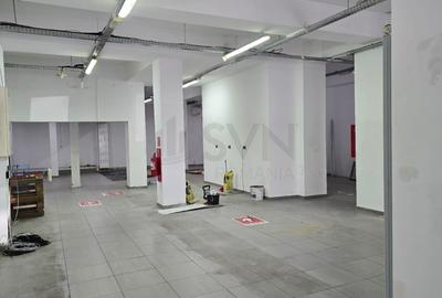 Birou, de 230 mp, în Kiseleff - 2