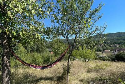 Teren de 3600 mp, în Morilor - 4