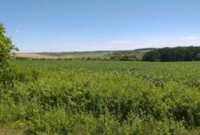 1 hectar de teren agricol in comuna Perieti din judetul Olt