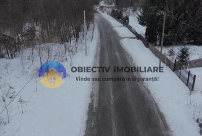 Teren de 2283 mp, în Tarcău - 16