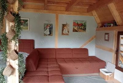 Casă cu 2 camere cu Teren 5000 Mp în Brebu - 6