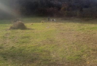 Vând teren 3 euro mp MEHADIA la 8km de BĂILE HERCULANE - 9