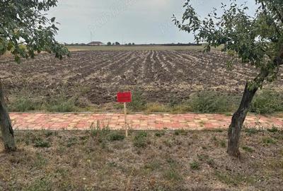 PROPRIETAR vand loc de casa 2528 str Scurta in Sannicolau Mare - 1