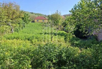 Casă cu 3 camere cu Teren 800 Mp în Boarta - 8